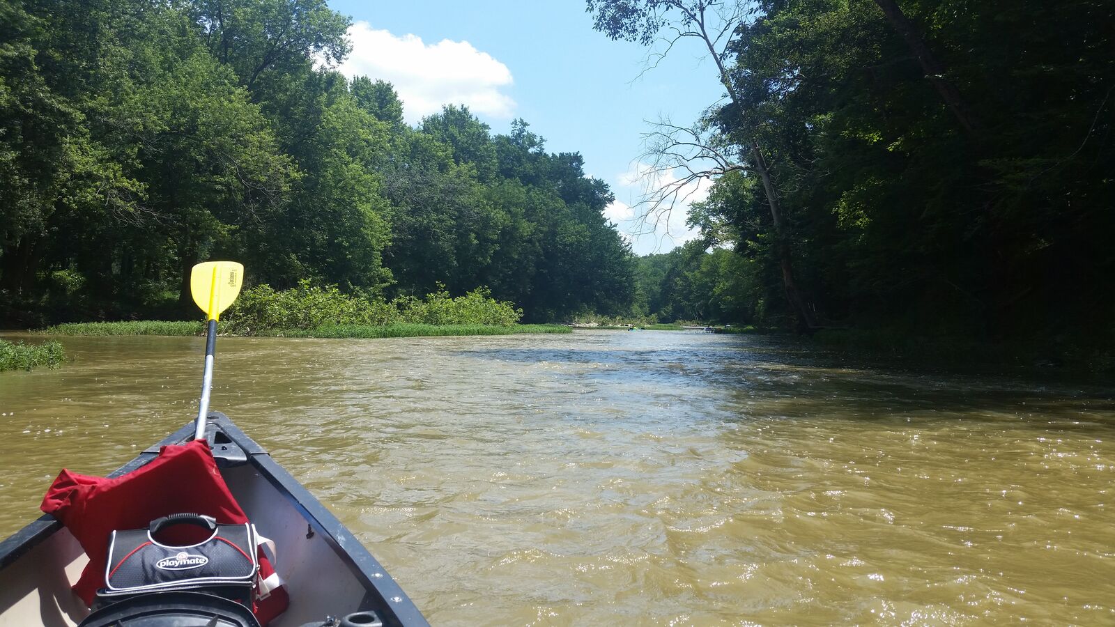 From the canoe on a Kentucky river